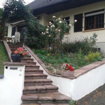 B&B Ma Maison Hautes Vosges Ranspach Extérieur photo